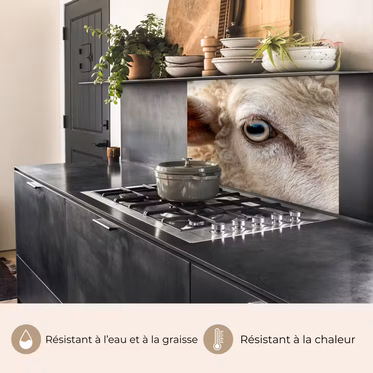 Crédence cuisine - Mouton - Oeil - Blanc — 4