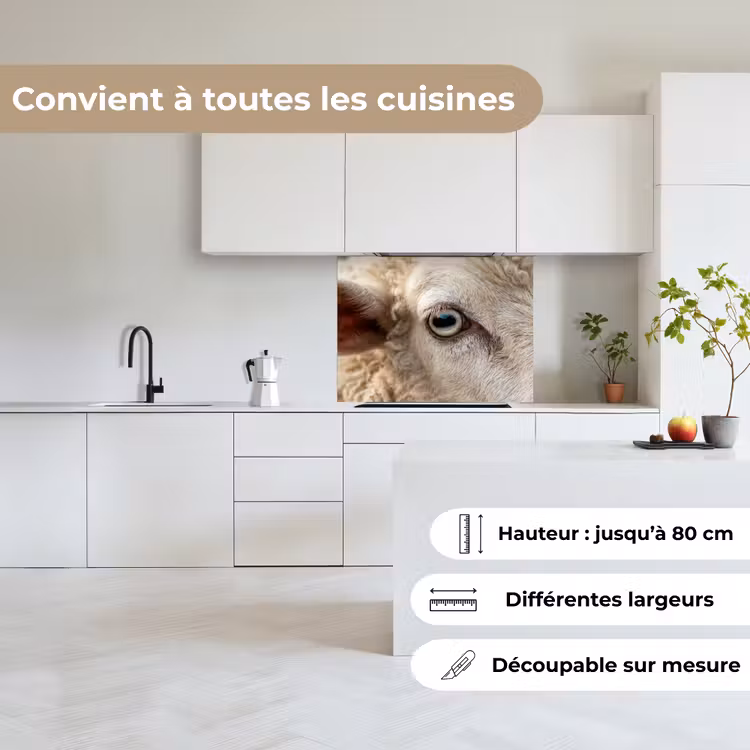 Crédence cuisine - Mouton - Oeil - Blanc — 6