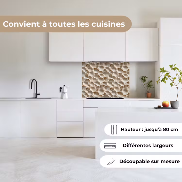 Crédence cuisine - Coquilles - Forme d'éventail - Blanc — 6