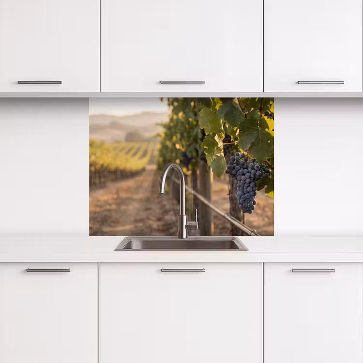 Crédence cuisine - Raisins - Vigne - Soleil — 3