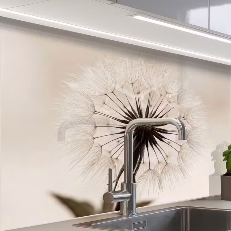 Crédence cuisine - Pissenlit - Minimaliste - Blanc — 1