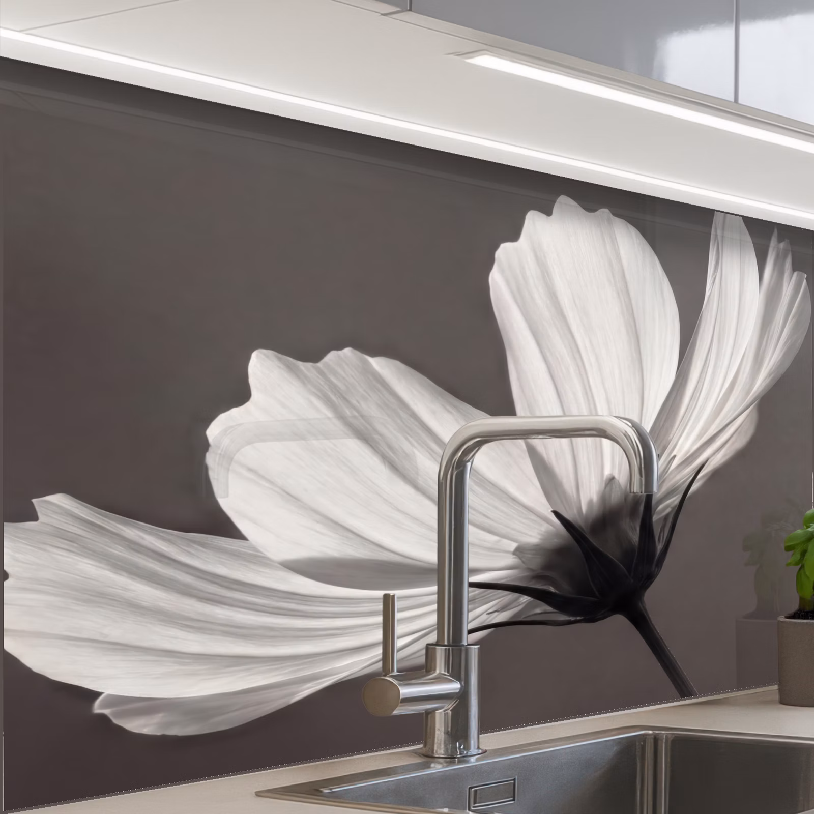 Crédence cuisine - Fleur - Minimaliste - Noir - Blanc — 1