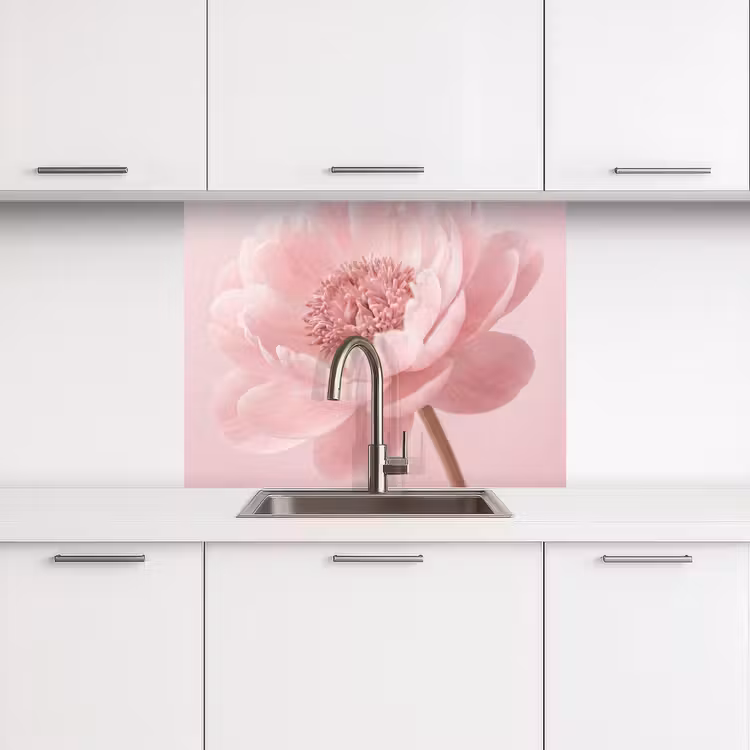 Crédence cuisine - Fleur - Pivoine - Rose — 3