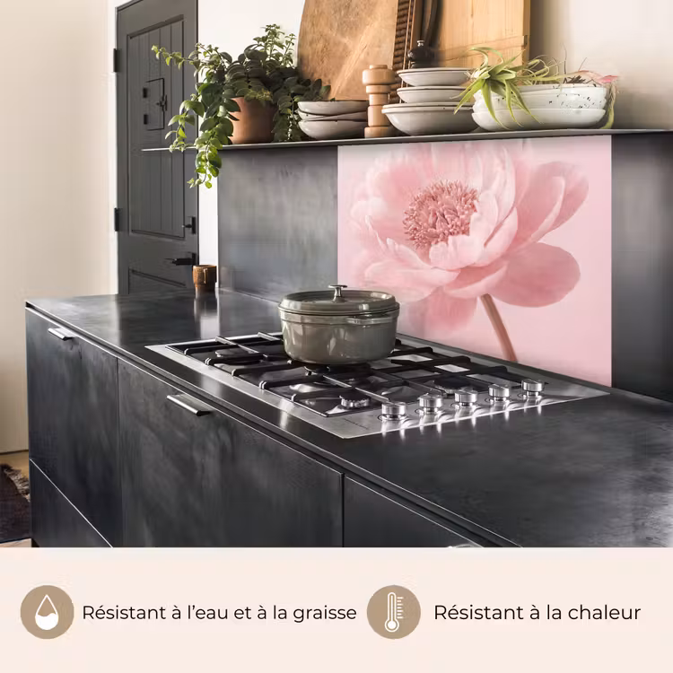 Crédence cuisine - Fleur - Pivoine - Rose — 4