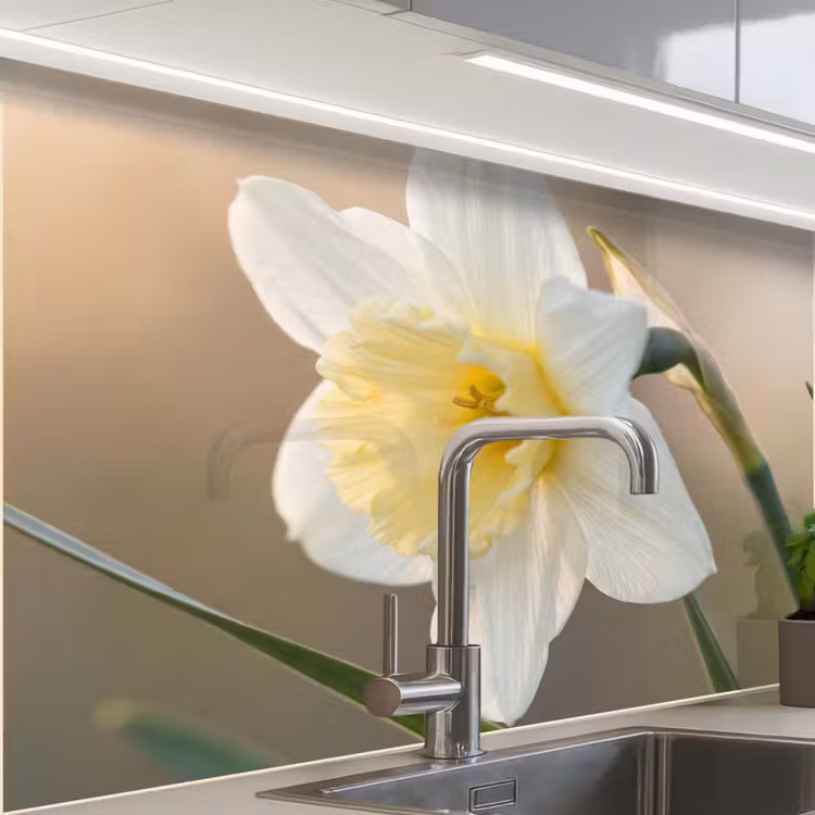 Crédence cuisine - Jonquille - Fleur - Minimaliste — 1
