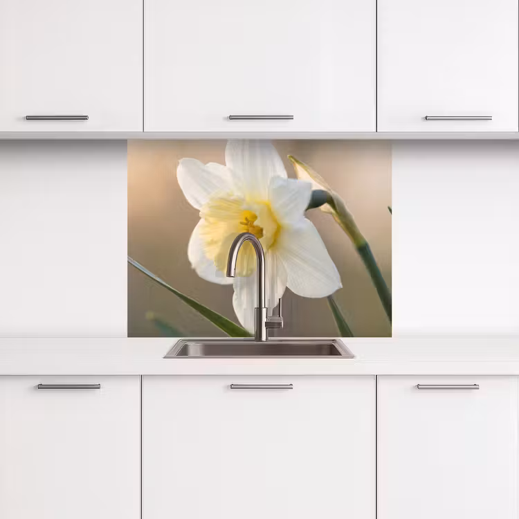 Crédence cuisine - Jonquille - Fleur - Minimaliste — 3