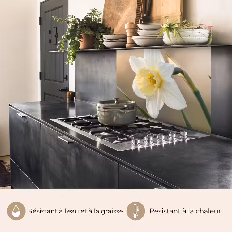 Crédence cuisine - Jonquille - Fleur - Minimaliste — 4