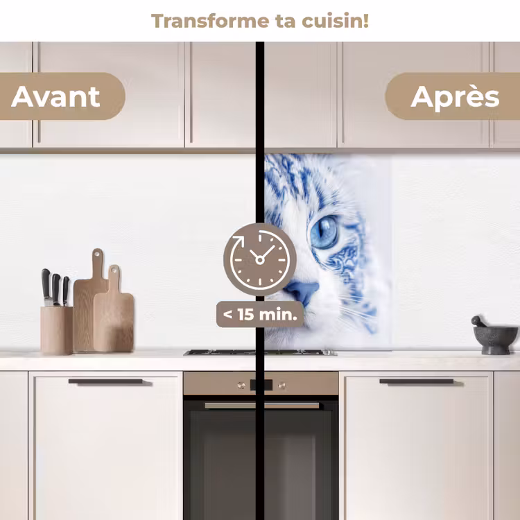 Crédence cuisine - Chat - Motif - Bleu — 2