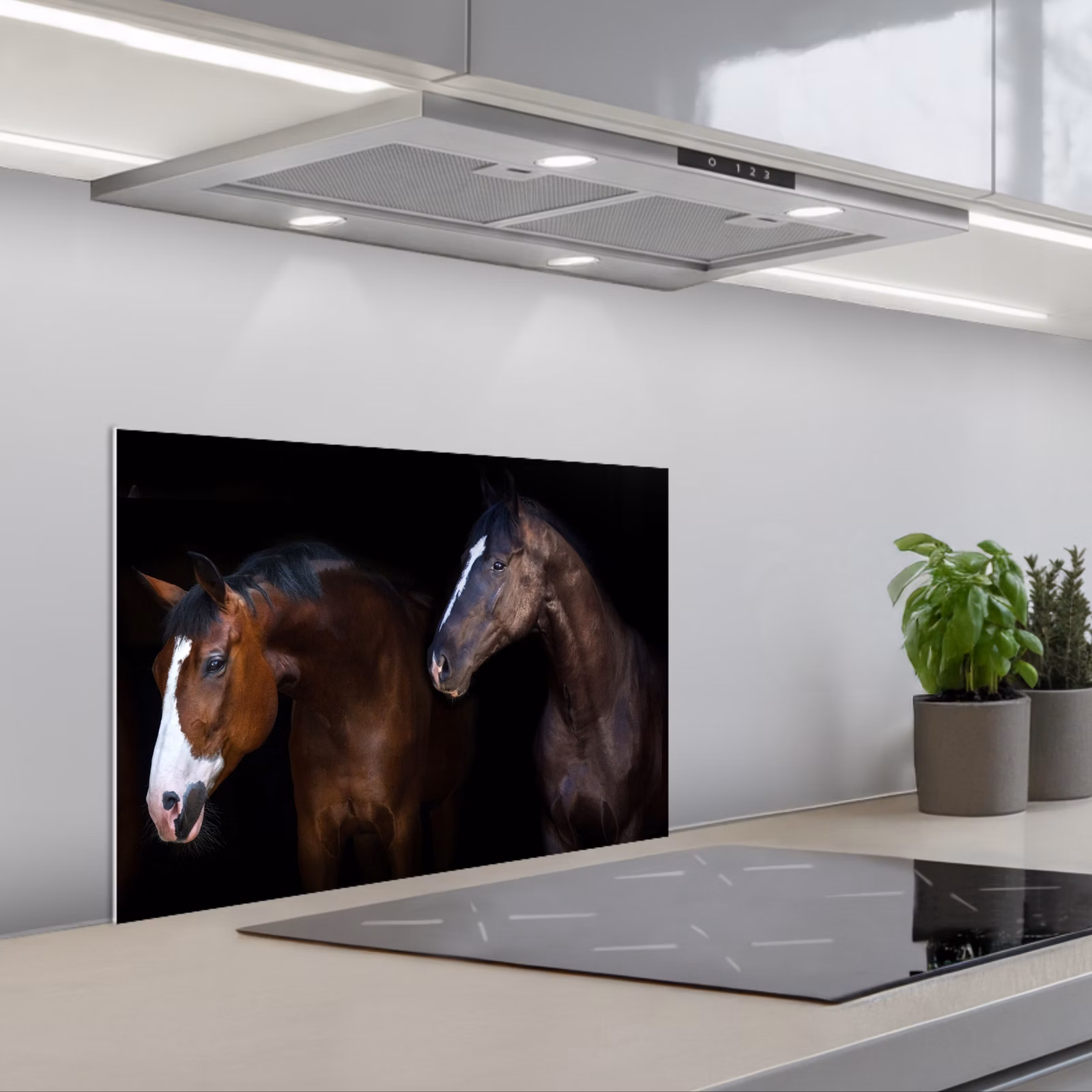 Fond de hotte - Cheval - Animaux - Noir — 1