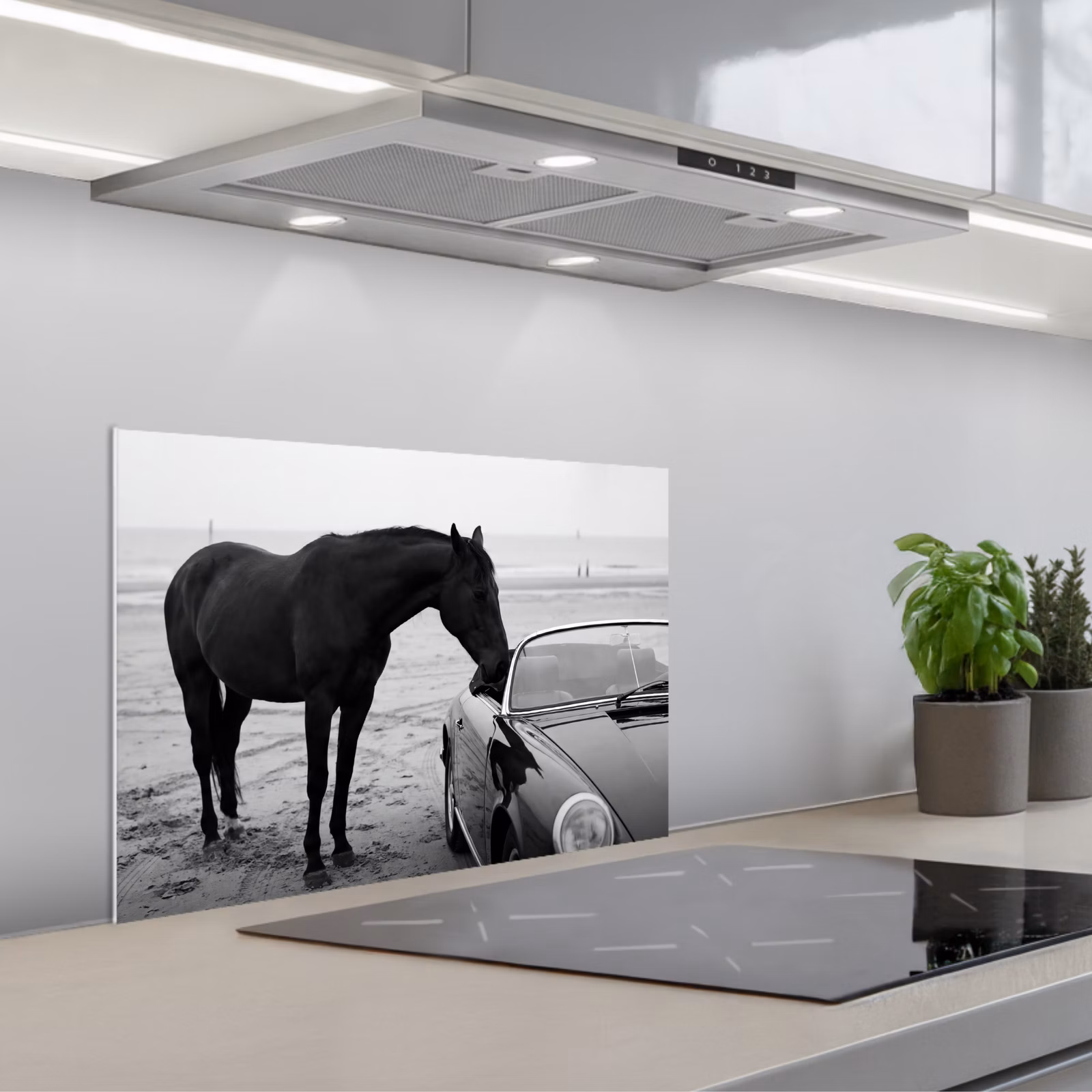 Fond de hotte - Cheval - Voiture - Noir - Blanc — 1
