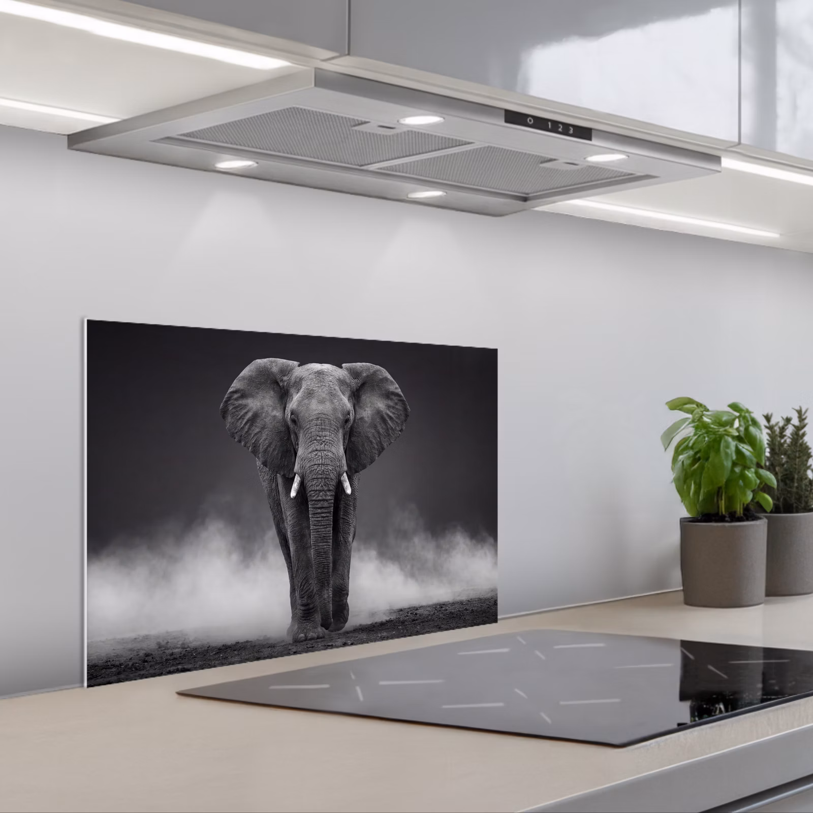 Fond de hotte - Éléphant - Noir - Blanc - Fumée — 1