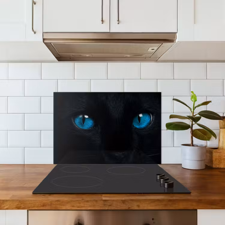 Fond de hotte - Chat - Bleu - Animal - Noir — 3