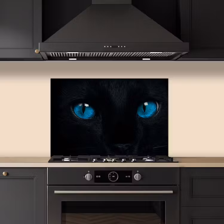 Fond de hotte - Chat - Bleu - Animal - Noir — 5