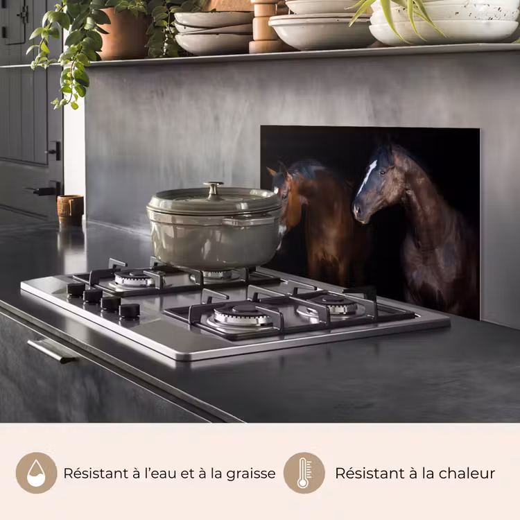 Fond de hotte - Cheval - Animaux - Noir — 2