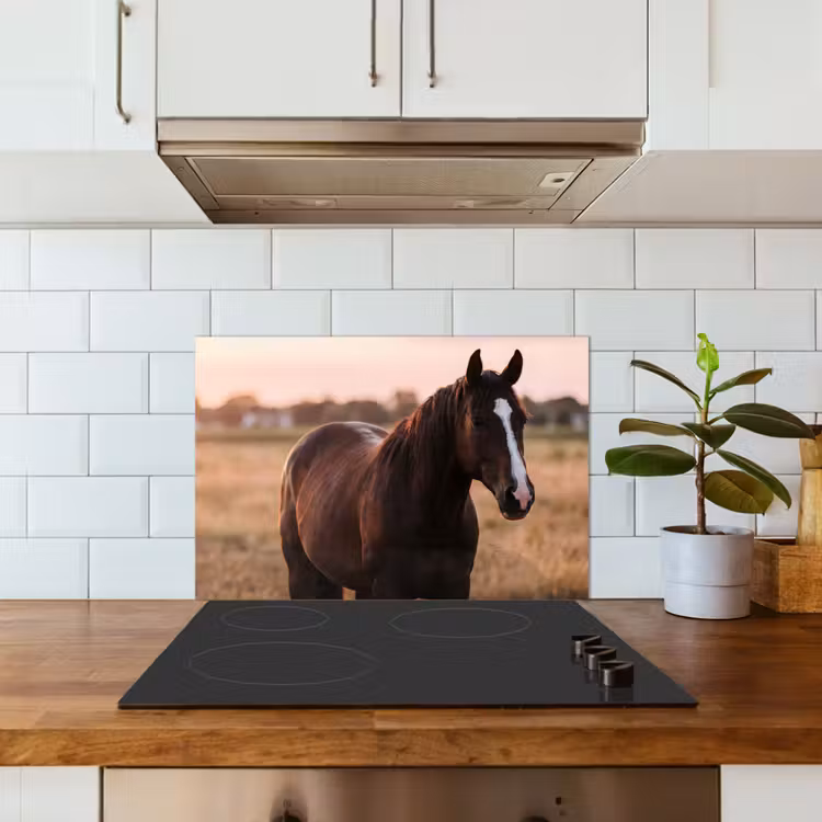 Fond de hotte - Cheval - Coucher de soleil - Marron — 3
