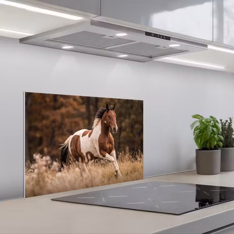 Fond de hotte - Cheval - Marron - Herbe — 1