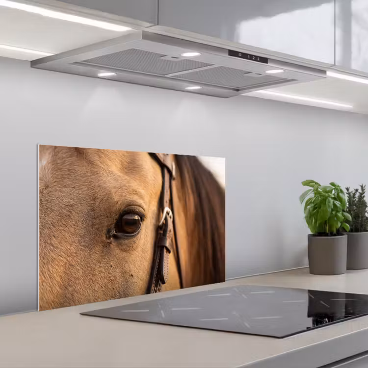 Fond de hotte - Cheval - Oeil - Marron — 1