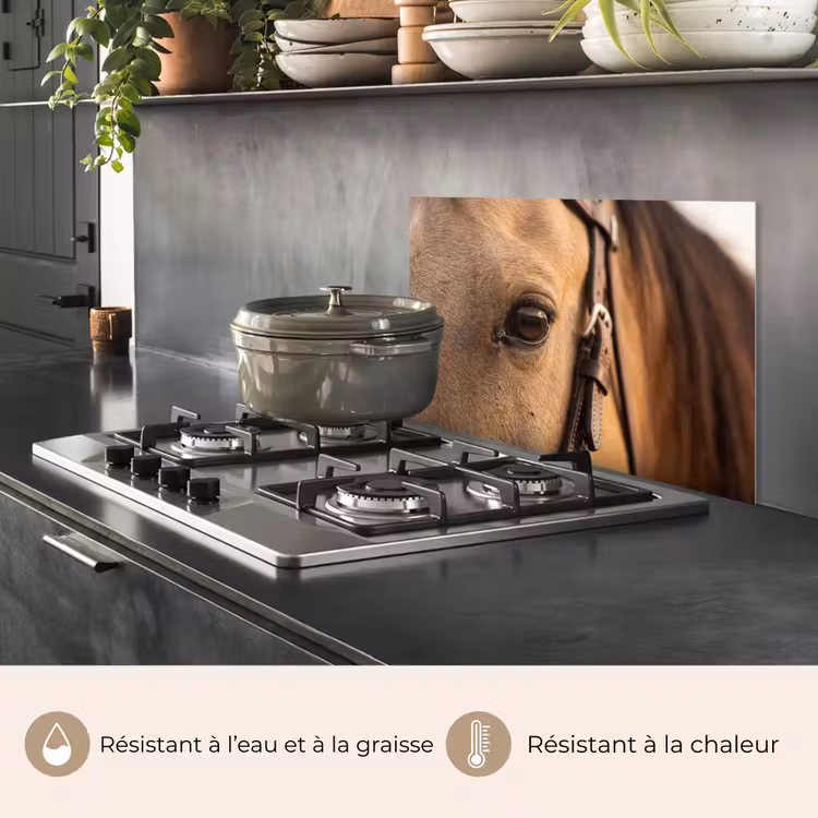 Fond de hotte - Cheval - Oeil - Marron — 2