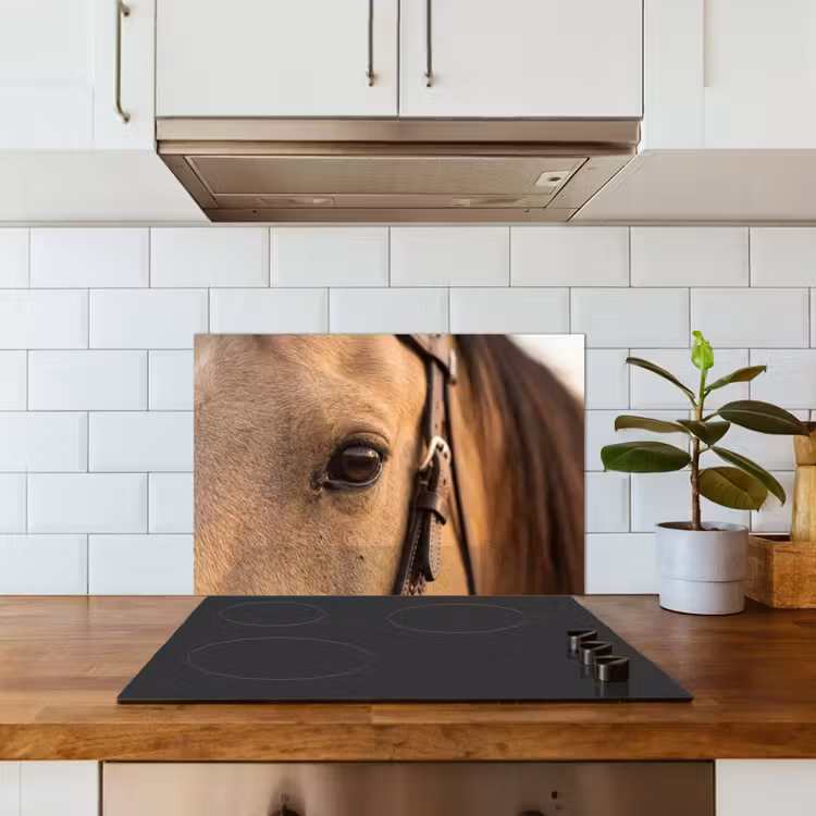 Fond de hotte - Cheval - Oeil - Marron — 3