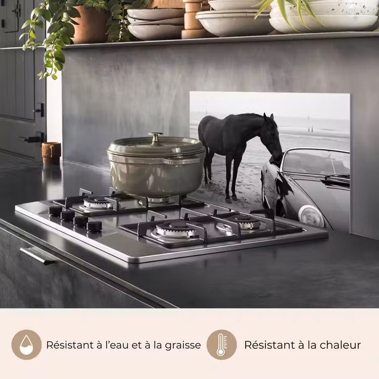 Fond de hotte - Cheval - Voiture - Noir - Blanc — 2