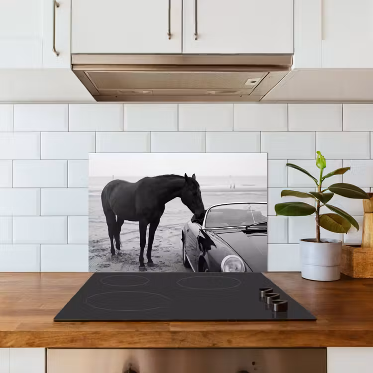Fond de hotte - Cheval - Voiture - Noir - Blanc — 3