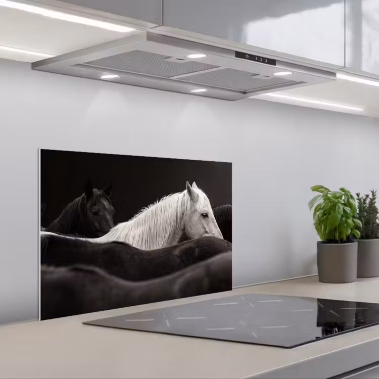 Fond de hotte - Chevaux - Noirs - Blancs - Troupeau — 1