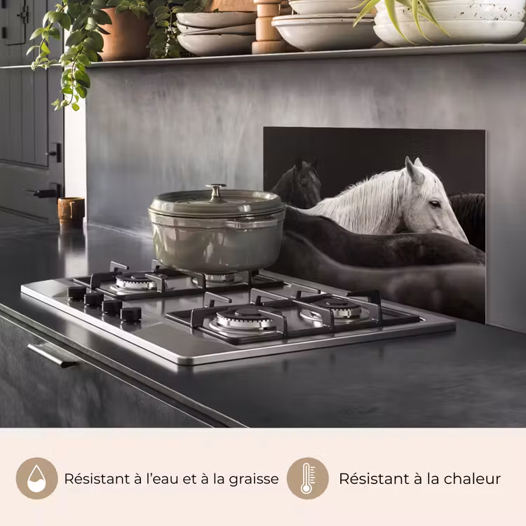 Fond de hotte - Chevaux - Noirs - Blancs - Troupeau — 2