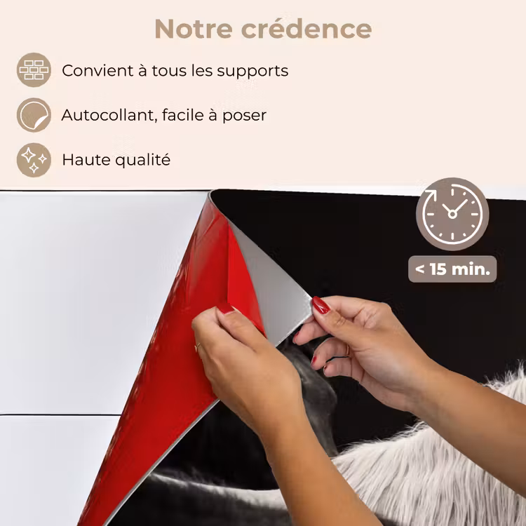 Fond de hotte - Chevaux - Noirs - Blancs - Troupeau — 4