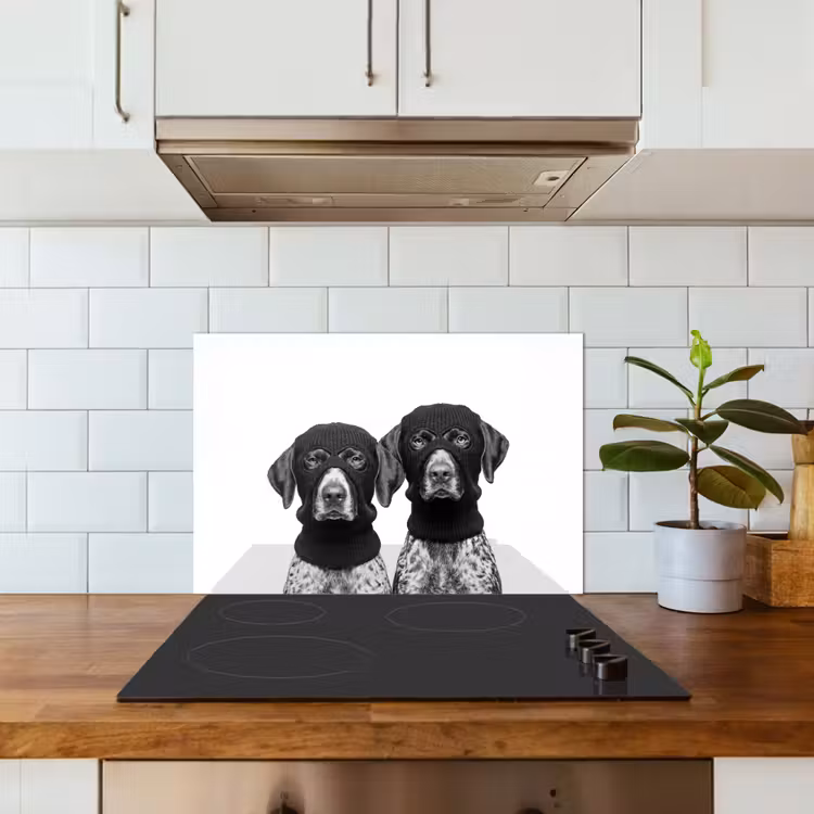 Fond de hotte - Chiens - cagoule - noir - blanc — 3