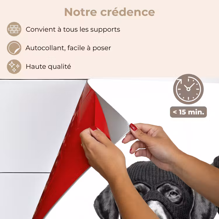 Fond de hotte - Chiens - cagoule - noir - blanc — 4