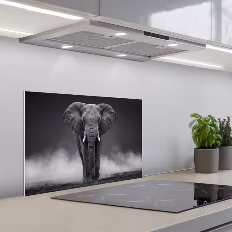 Fond de hotte - Éléphant - Noir - Blanc - Fumée — 1
