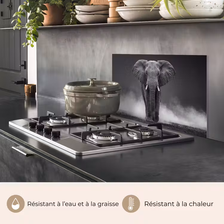 Fond de hotte - Éléphant - Noir - Blanc - Fumée — 2