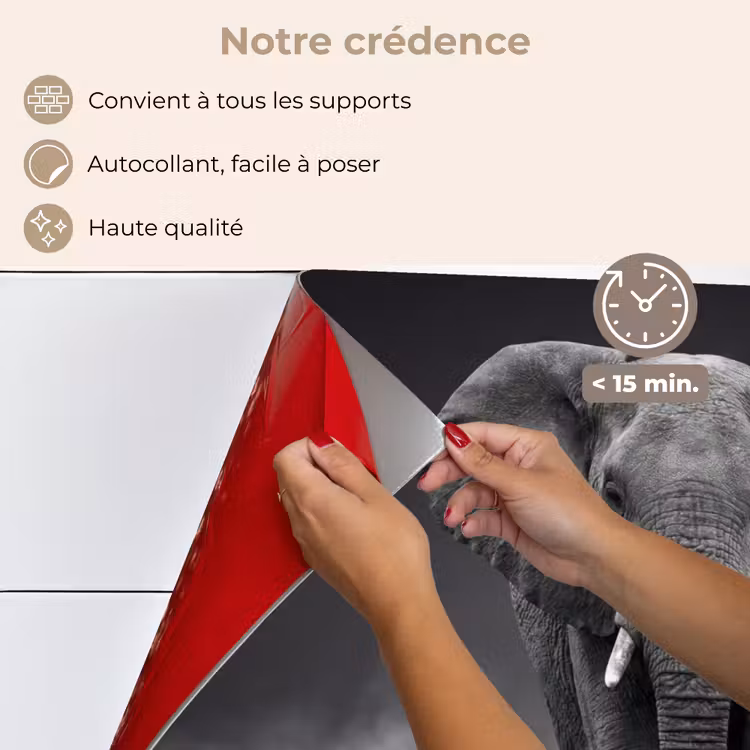 Fond de hotte - Éléphant - Noir - Blanc - Fumée — 4