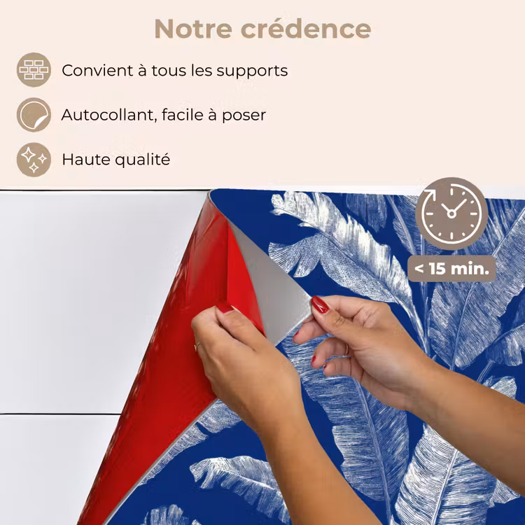 Fond de hotte - Feuille - Palmier - Bleu — 4