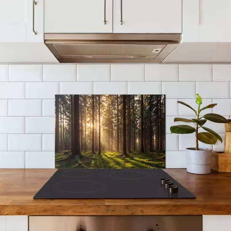 Fond de hotte - Forêt - Herbe - Soleil — 3