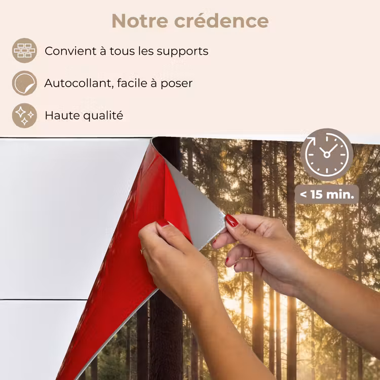 Fond de hotte - Forêt - Herbe - Soleil — 4