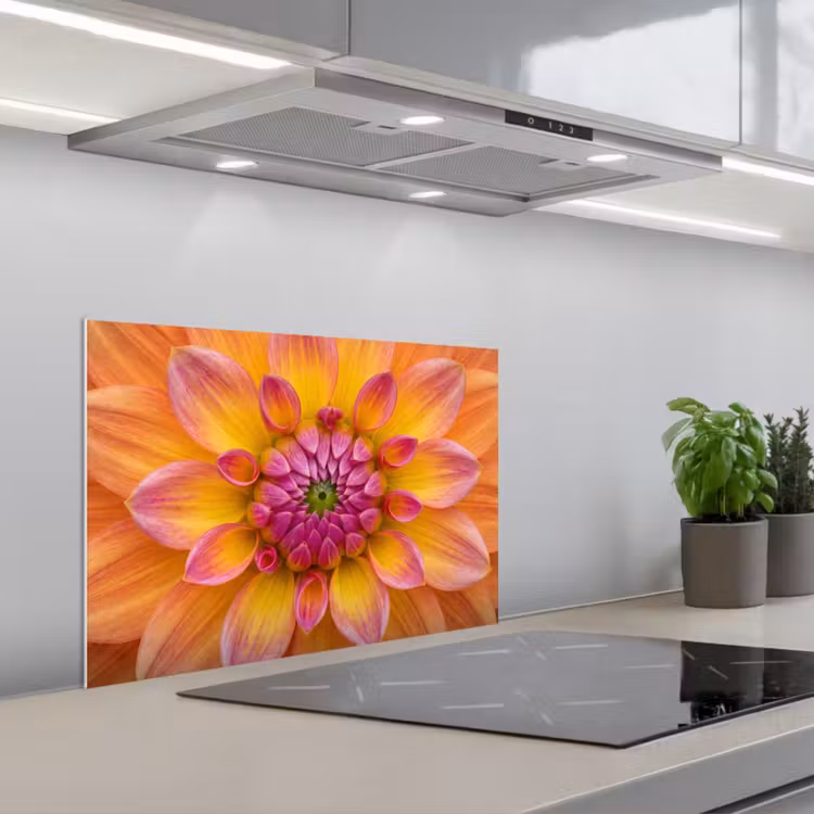 Fond de hotte - Dahlia - Fleur - Orange — 1