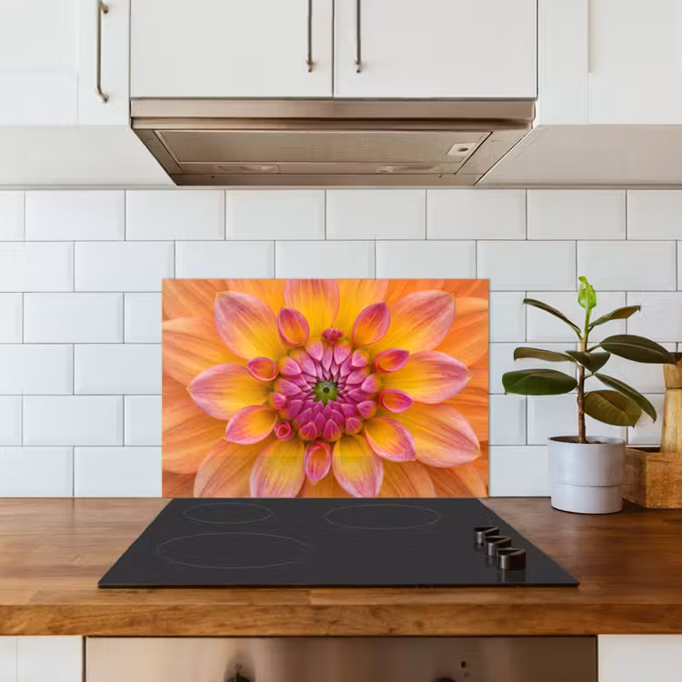 Fond de hotte - Dahlia - Fleur - Orange — 3