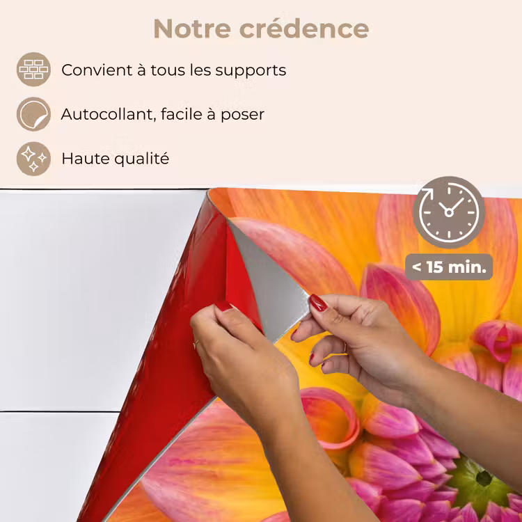 Fond de hotte - Dahlia - Fleur - Orange — 4