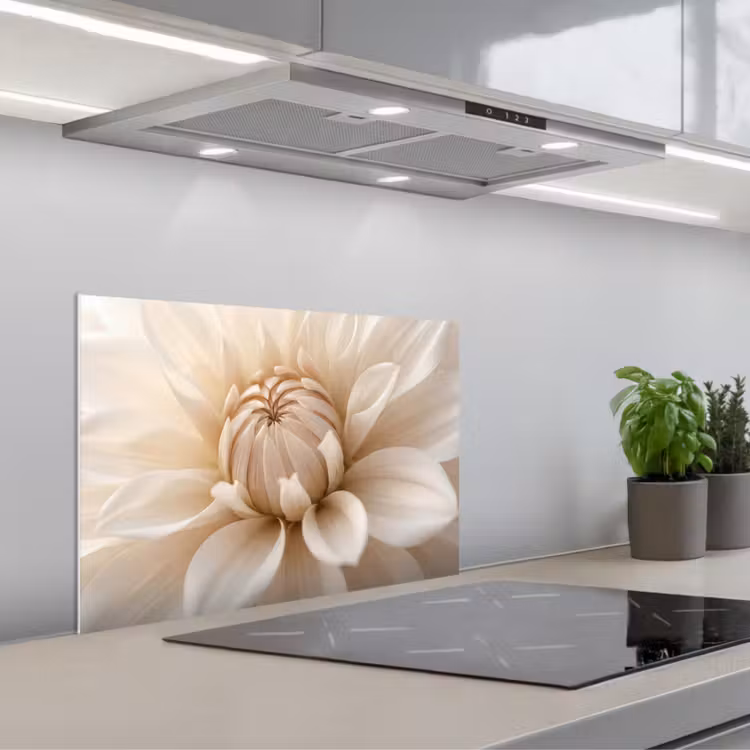 Fond de hotte - Fleur - Dahlia - Blanc — 1