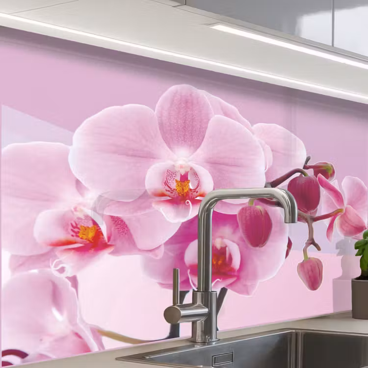 Crédence cuisine - Fleurs - Orchidée - Rose — 1
