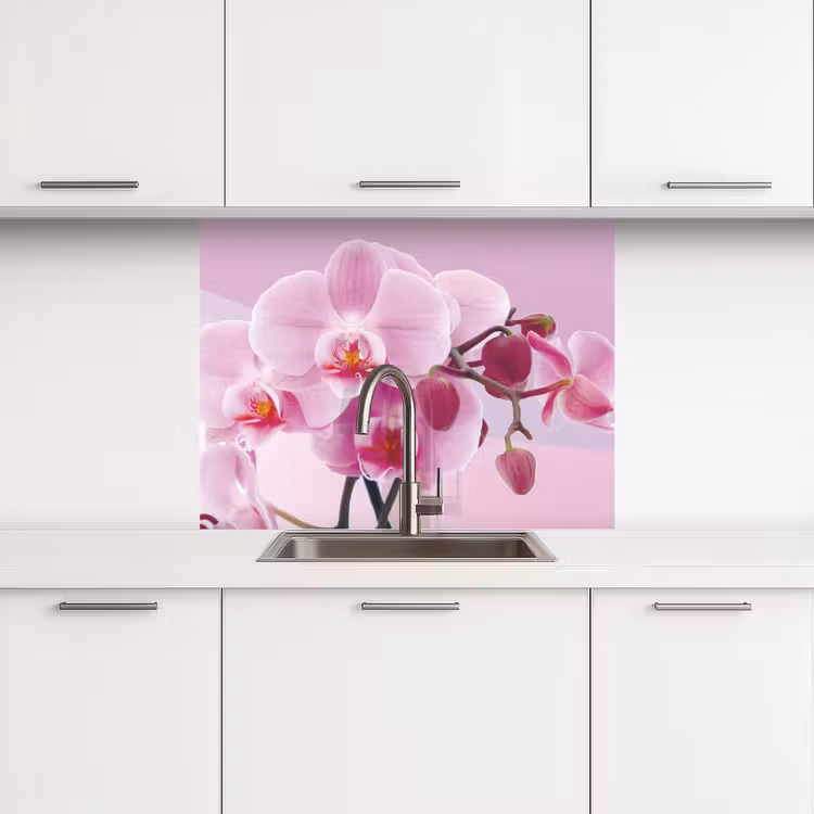 Crédence cuisine - Fleurs - Orchidée - Rose — 3