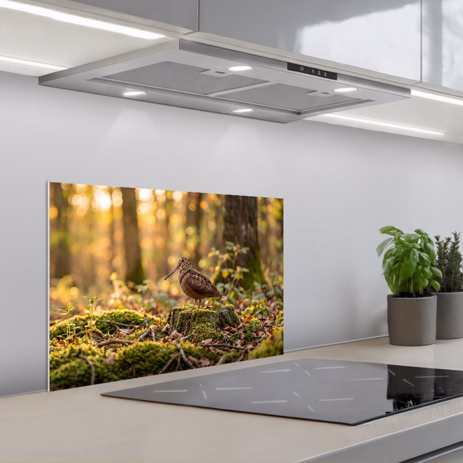 Fond de hotte - Bécasse - Forêt - Feuilles - Automne - Camouflé — 1