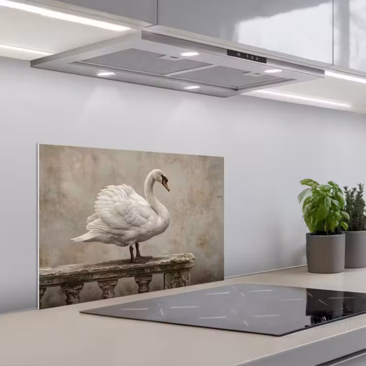 Fond de hotte - Cygne - Elégant - Animaux - Blanc — 1