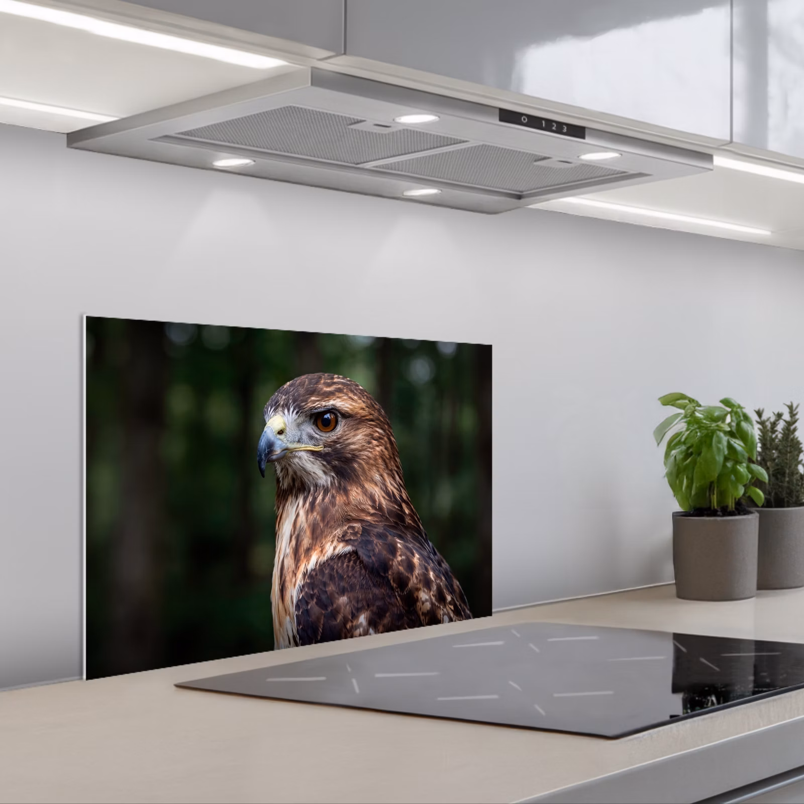 Fond de hotte - Buse - Rapace - Nature - Marron — 1