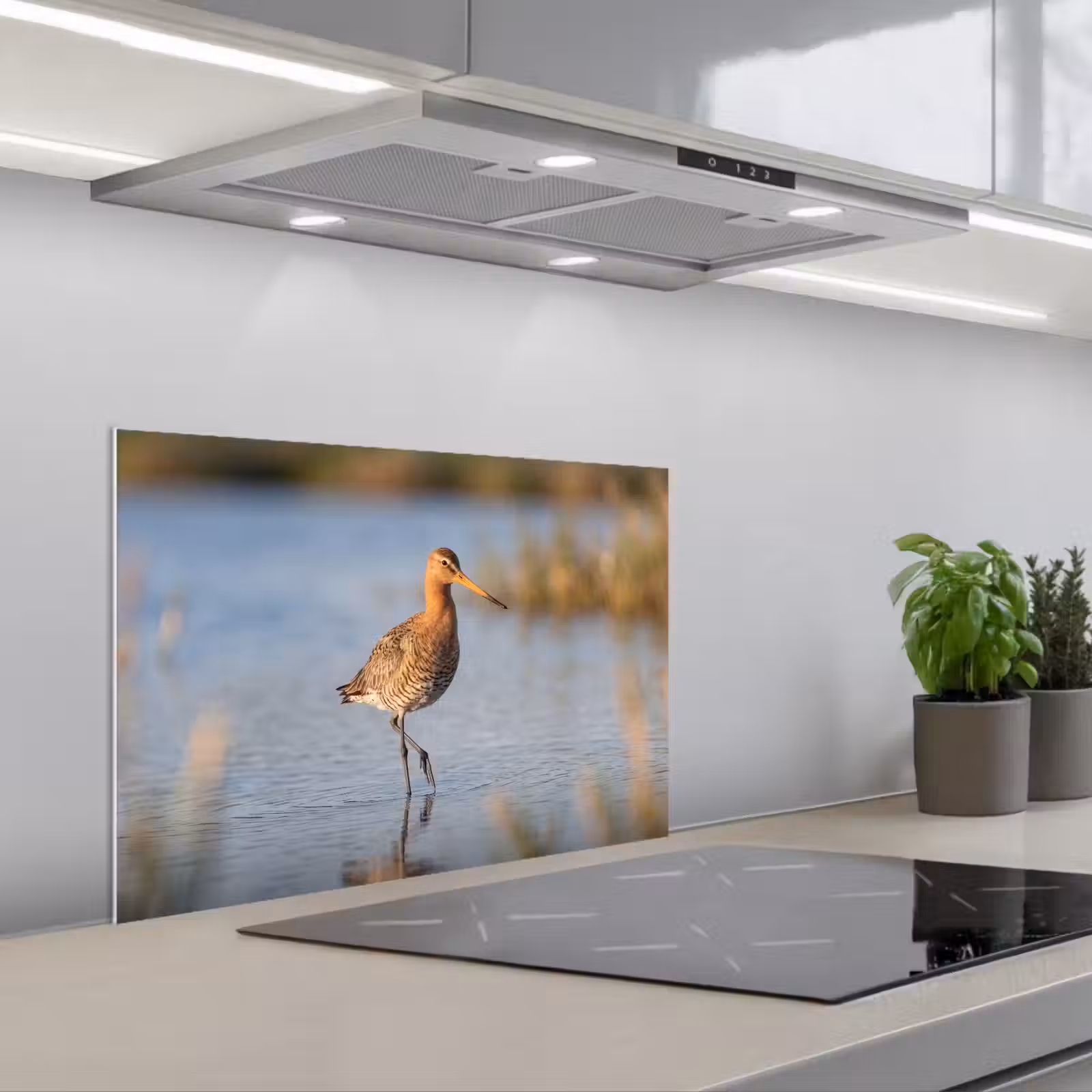 Fond de hotte - Oiseau - Échasse - Eau - Nature — 1