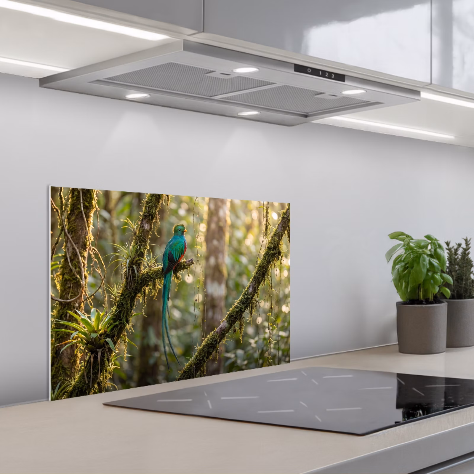 Fond de hotte - Quetzal - Jungle - Nature - Vert — 1