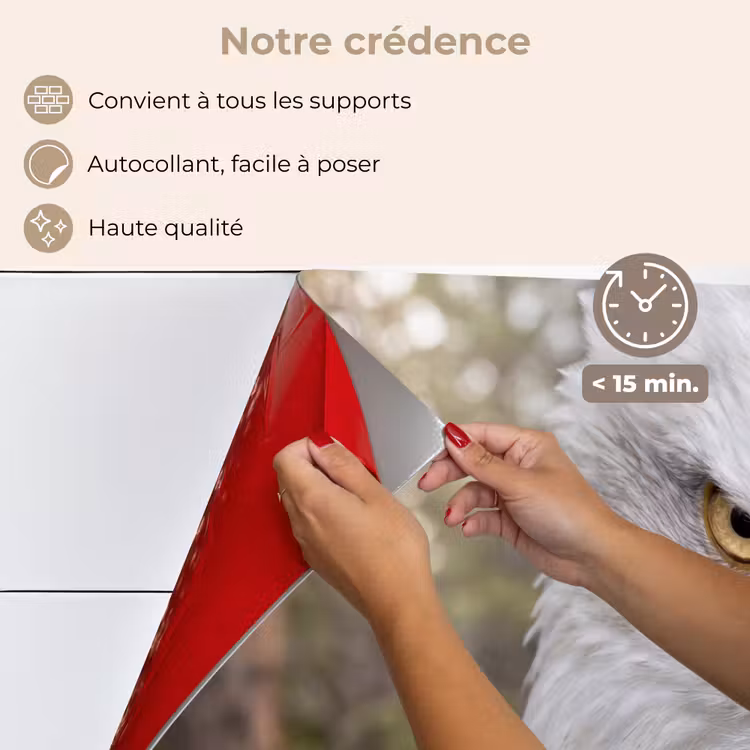 Fond de hotte - Américain - Pygargue à tête blanche - Portrait - Jaune — 4