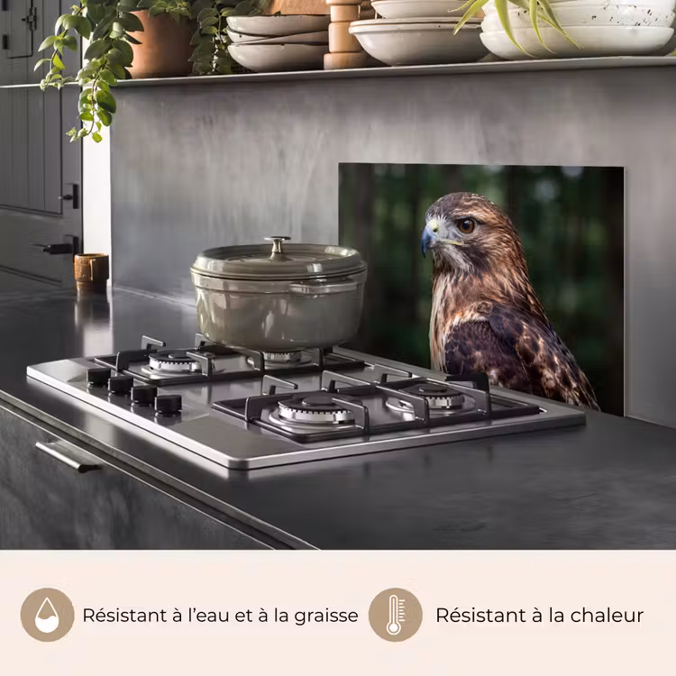 Fond de hotte - Buse - Rapace - Nature - Marron — 2
