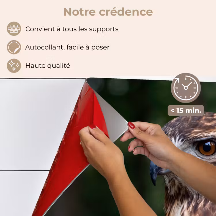 Fond de hotte - Buse - Rapace - Nature - Marron — 4